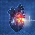 Cardiology
